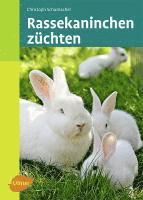 Christoph Schumacher - Rassekaninchen züchten, Inbunden