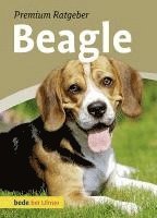 bokomslag Beagle