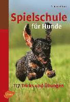 bokomslag Spielschule für Hunde