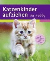 bokomslag Katzenkinder aufziehen