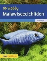bokomslag Malawiseecichliden