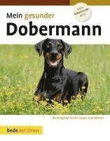 bokomslag Mein gesunder Dobermann