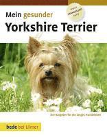 bokomslag Mein gesunder Yorkshire Terrier