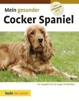 bokomslag Mein gesunder Cocker Spaniel