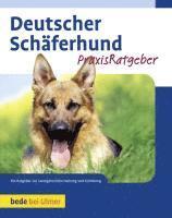 bokomslag Deutscher Schäferhund