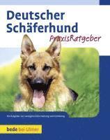 bokomslag Deutscher Schäferhund