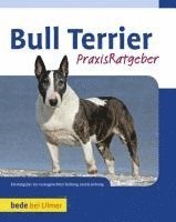 bokomslag Bull Terrier