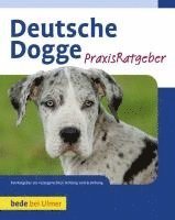 bokomslag Deutsche Dogge Praxisratgeber