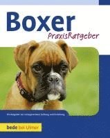 bokomslag Boxer