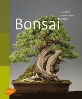 Bonsai 1