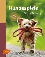 bokomslag Hundespiele für unterwegs