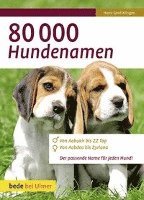 bokomslag 80 000 Hundenamen