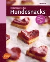 bokomslag Blitzrezepte für Hundesnacks