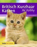 bokomslag Britisch Kurzhaar Katzen