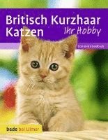 bokomslag Britisch Kurzhaar Katzen