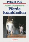 Pferdekrankheiten 1