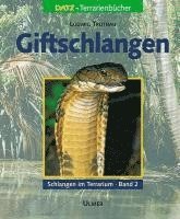 bokomslag Schlangen im Terrarium 2. Giftschlangen