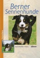 bokomslag Berner Sennenhunde