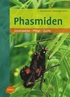 Sven Bradler, Christoph Seiler - Phasmiden, Inbunden