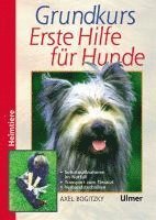 bokomslag Grundkurs Erste Hilfe für den Hund