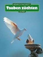 bokomslag Tauben züchten