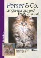 bokomslag Perser und Co. Langhaarkatzen und Exotic Shorthair