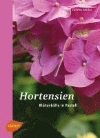 bokomslag Hortensien