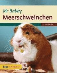 bokomslag Meerschweinchen Ihr Hobby