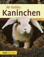 bokomslag Ihr Hobby Kaninchen