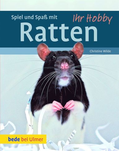 bokomslag Spiel und Spaß mit Ratten