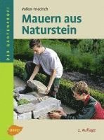 bokomslag Mauern aus Naturstein