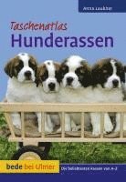 bokomslag Taschenatlas Hunderassen