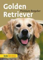 Golden Retriever 1