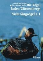 bokomslag Die Vögel Baden-Württembergs Band 2.0 - Nicht-Singvögel1.1, Nandus bis Flamingos