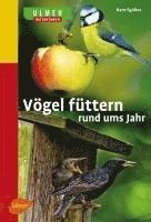 bokomslag Vögel füttern rund ums Jahr