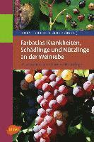 bokomslag Farbatlas Krankheiten, Schädlinge und Nützlinge an der Weinrebe