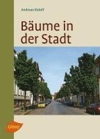 bokomslag Bäume in der Stadt