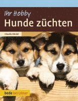 bokomslag Hunde züchten