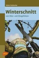 bokomslag Winterschnitt von Obst- und Ziergehölzen