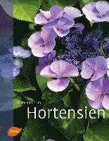 bokomslag Hortensien