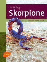 bokomslag Skorpione