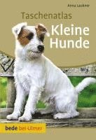 Anna Laukner - Taschenatlas Kleine Hunde, Häftad