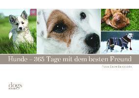 bokomslag Hunde. 365 Tage mit dem besten Freund