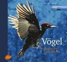 bokomslag Vögel - Magische Momente