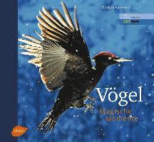 Markus Varesvuo - Vögel - Magische Momente, Inbunden