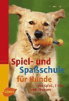 bokomslag Spiel- und Spaßschule für Hunde