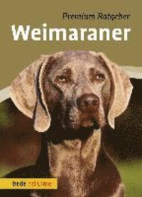 bokomslag Weimaraner