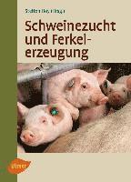 Schweinezucht und Ferkelerzeugung 1