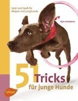 bokomslag 51 Tricks für junge Hunde