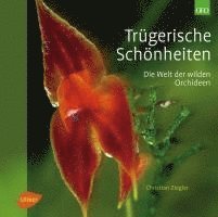 bokomslag Trügerische Schönheiten